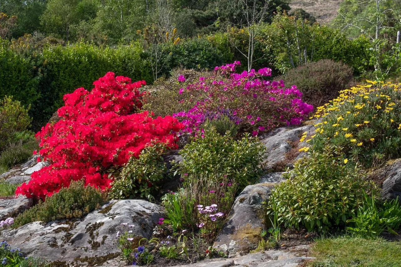 Cosy Cottage, Near The Sea, Glengarriff. Cork Ireland